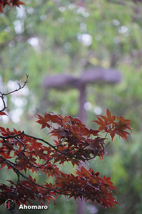 写真00
