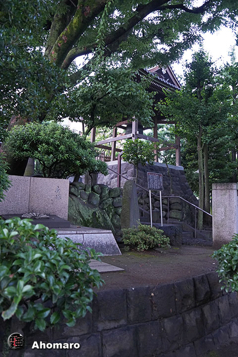 写真00