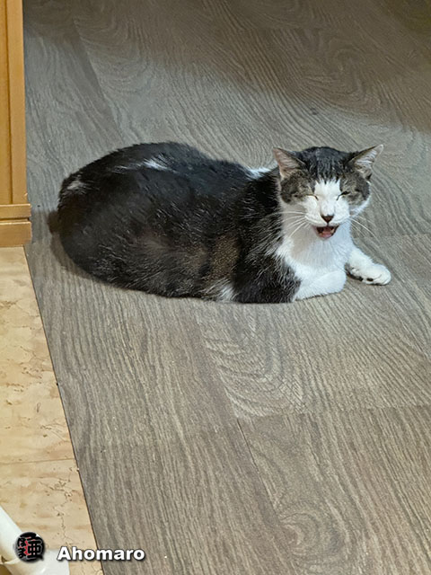 ʐ^00