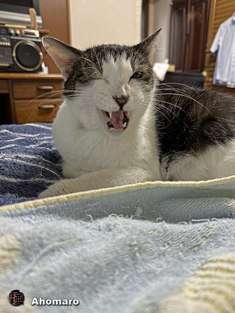 ʐ^00