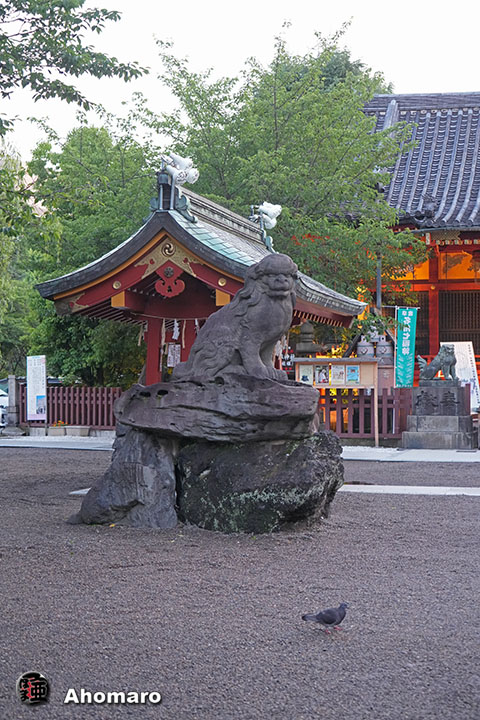 写真00