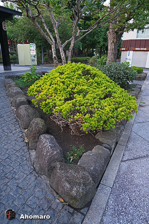 写真00