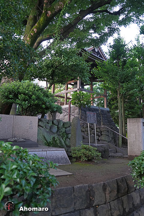 写真00