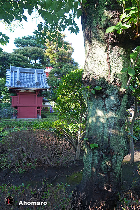 写真00