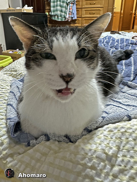ʐ^00