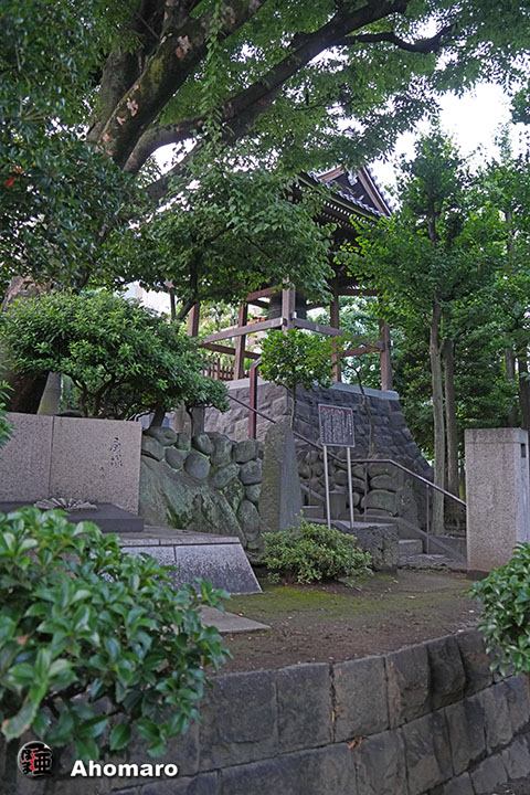 写真00