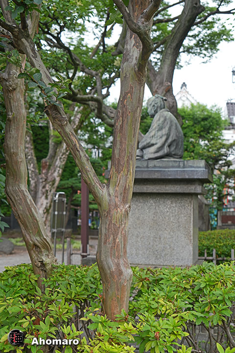 写真00