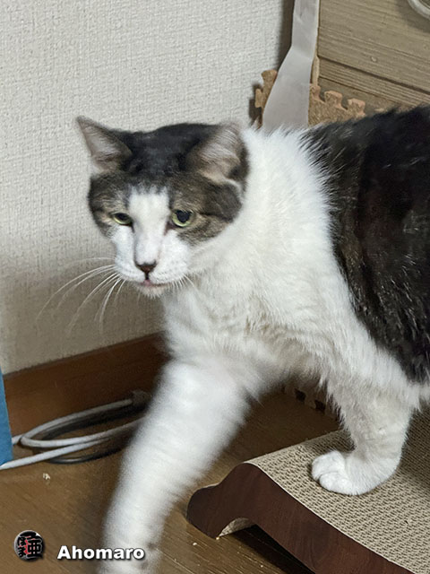 ʐ^00