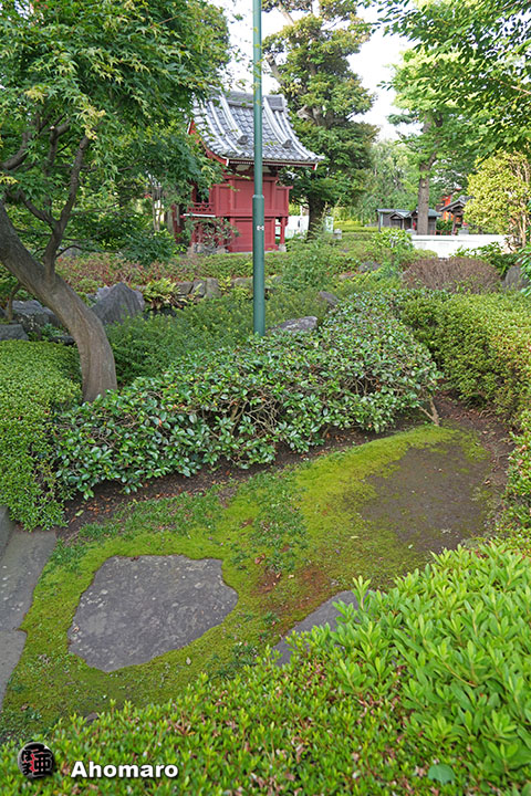 写真00
