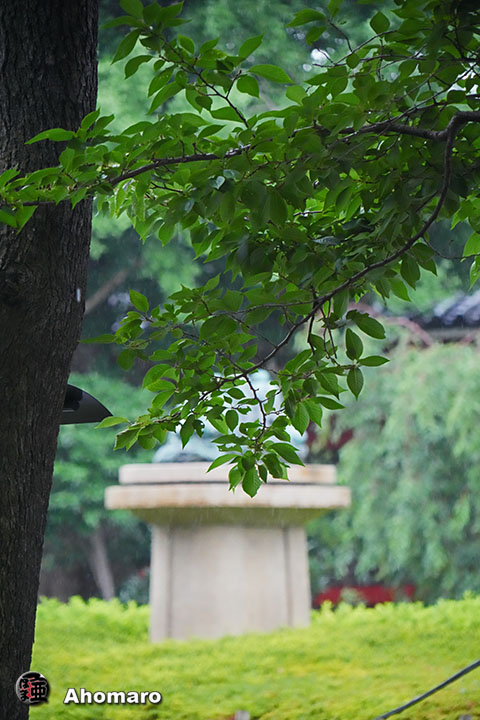 ʐ^00