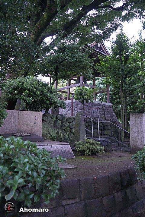 写真00