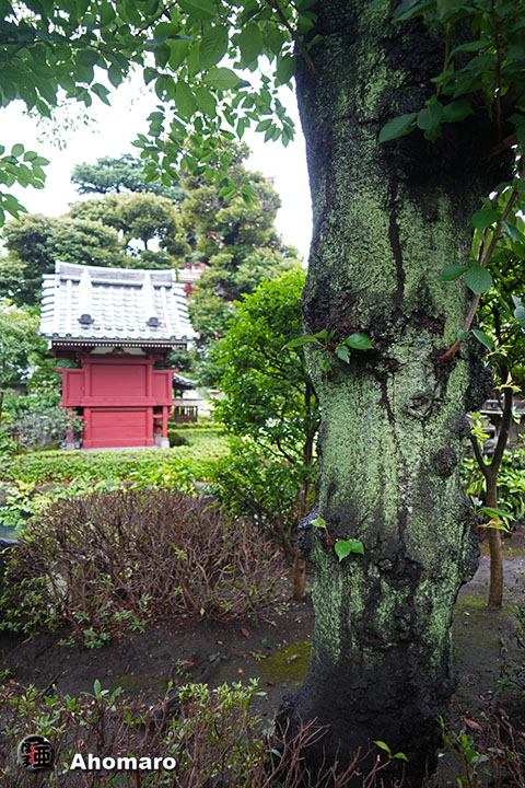写真00
