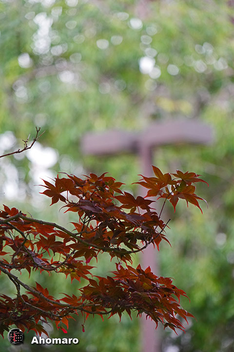 写真00
