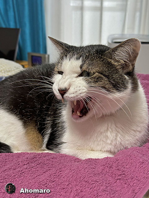 ʐ^00