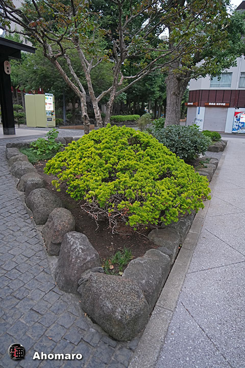 写真00