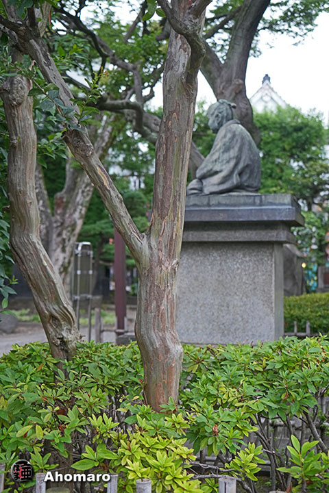 写真00