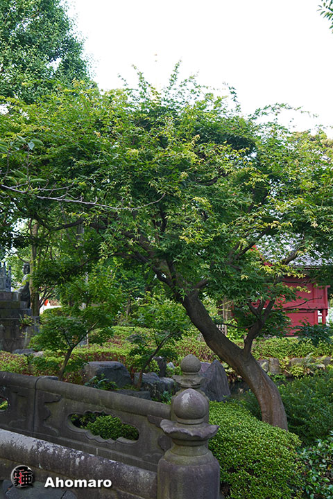 写真00