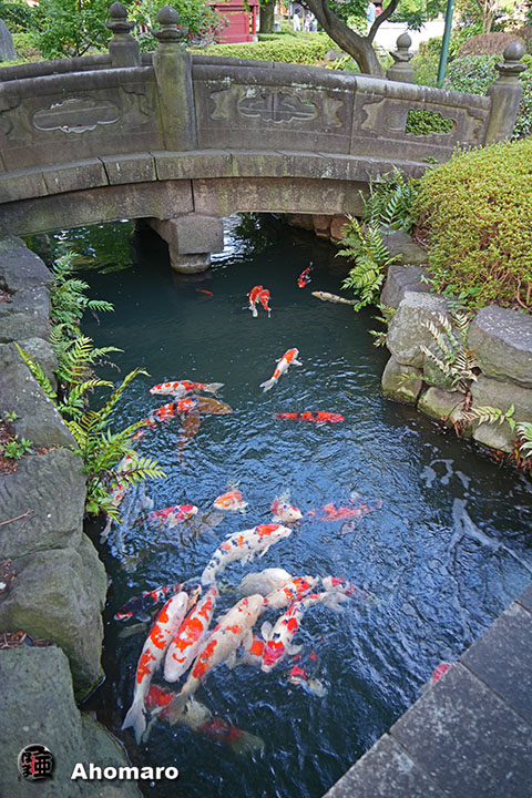 写真00