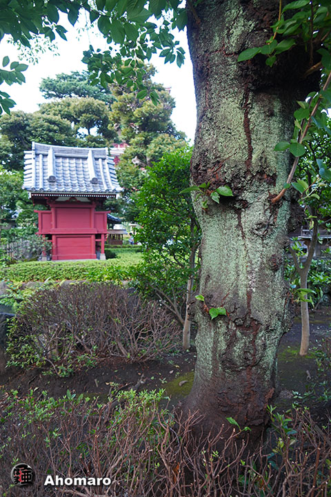 写真00