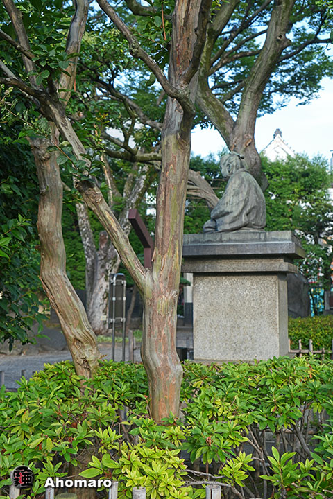 写真00