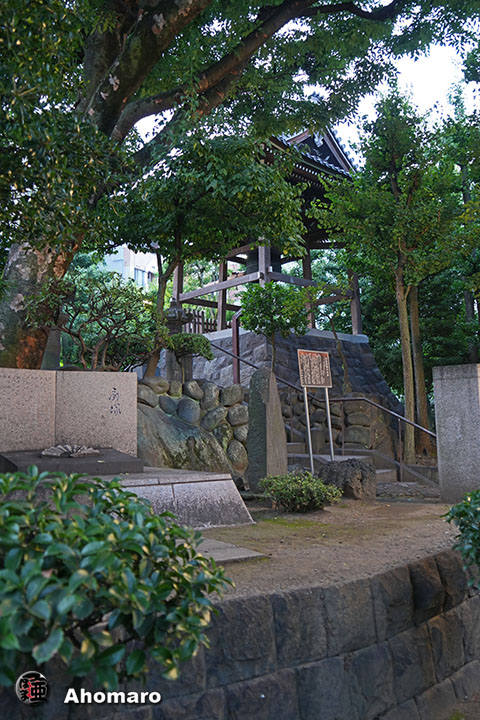 写真00