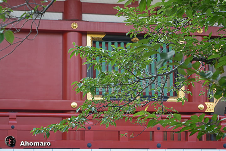 写真00
