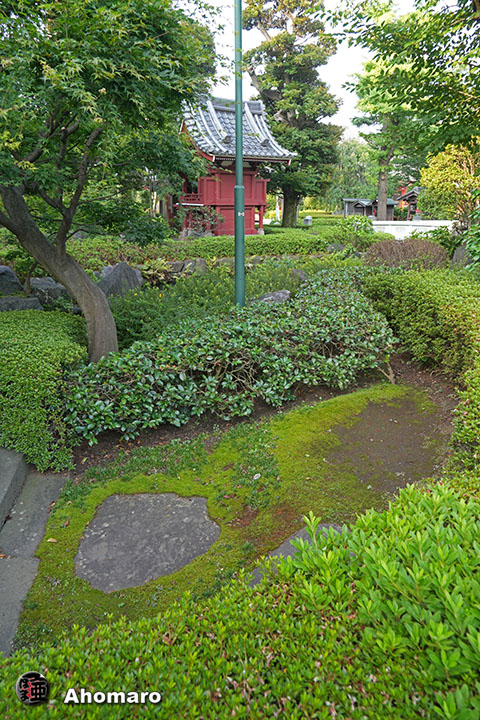 写真00
