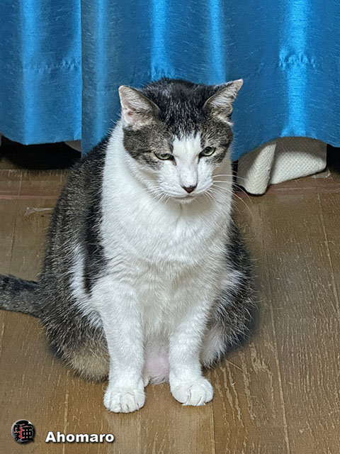 ʐ^00