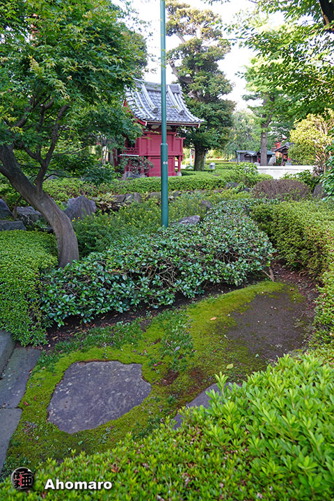写真00