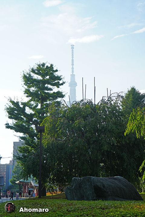 写真00