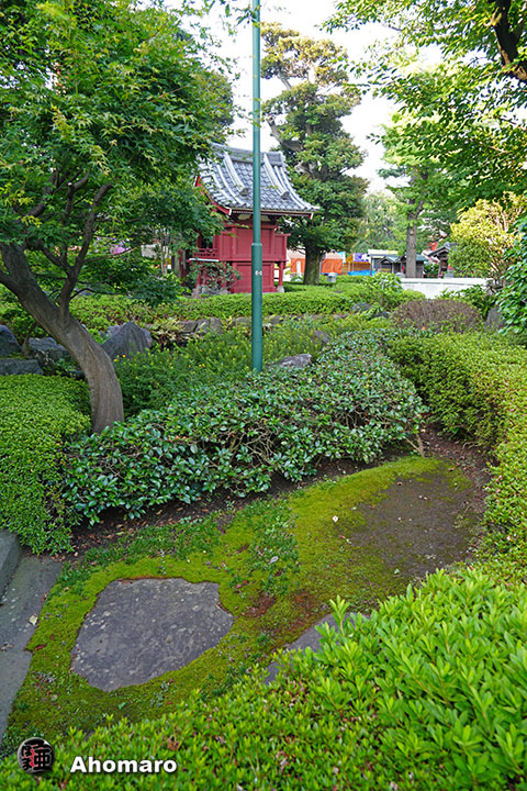 写真00