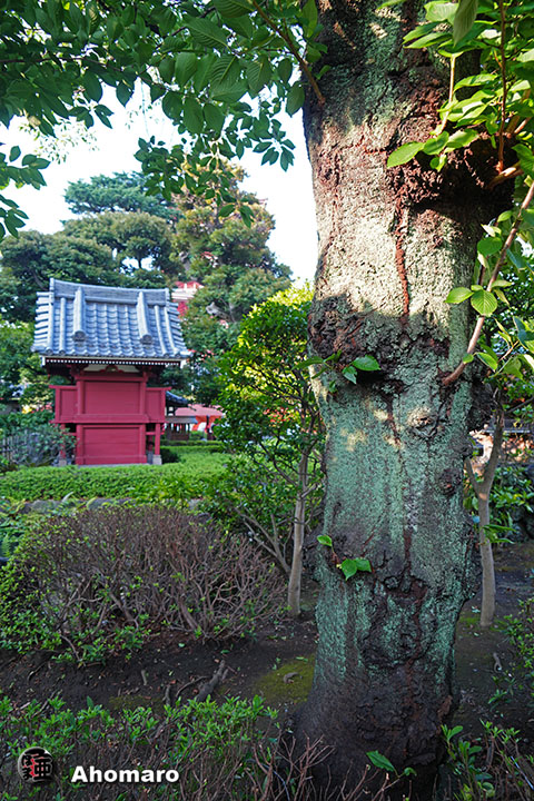 写真00