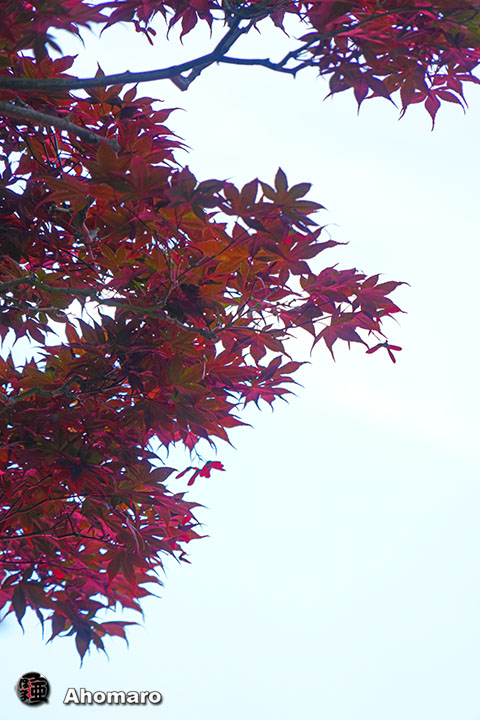 写真00