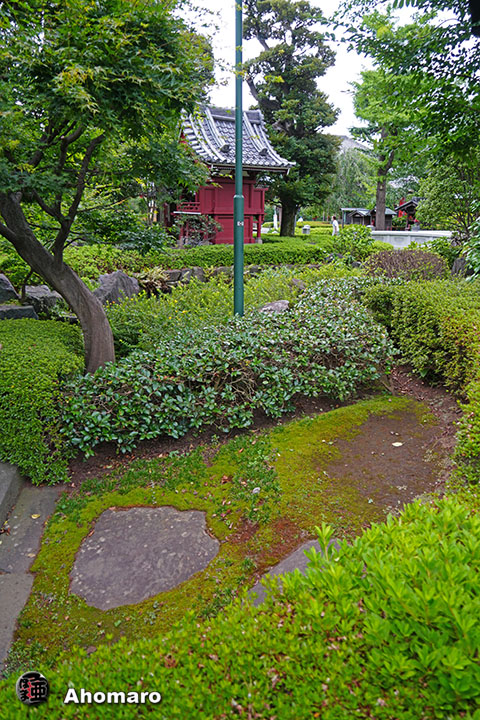 写真00