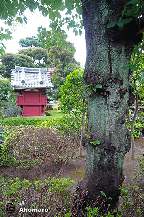 写真00