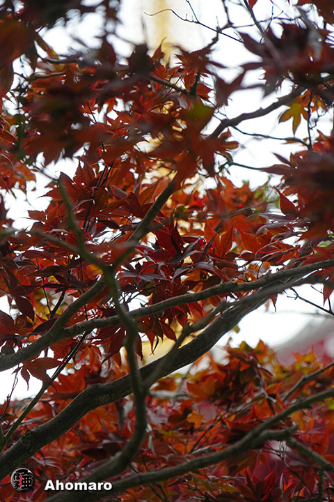 写真00
