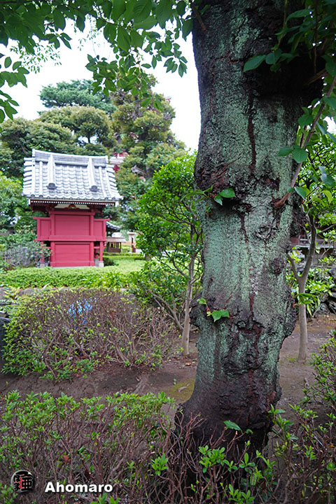 写真00