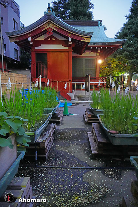 写真00