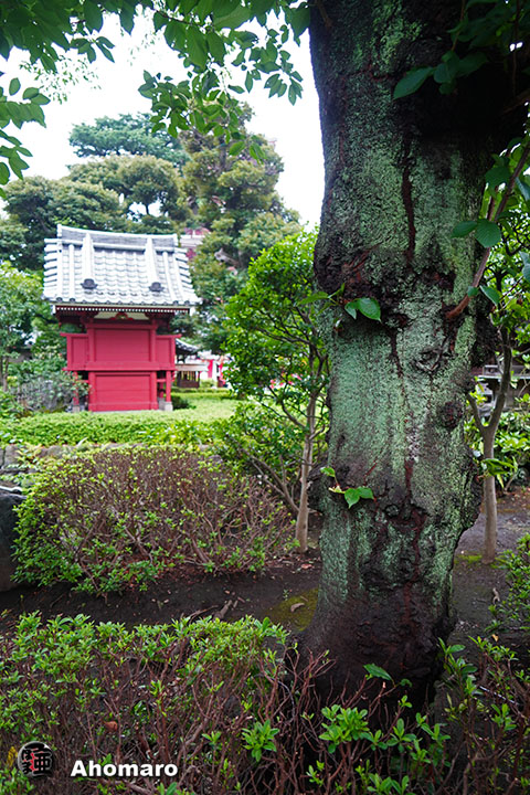写真00