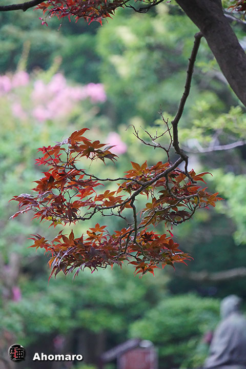写真00