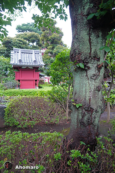 写真00