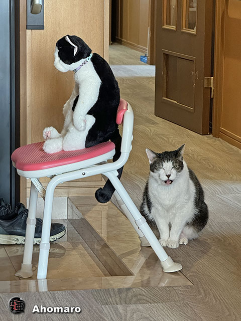 ʐ^00
