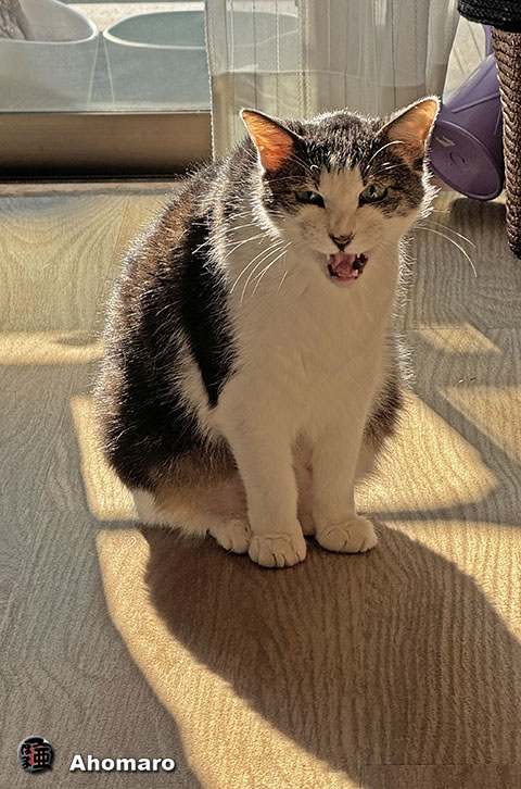 ʐ^00