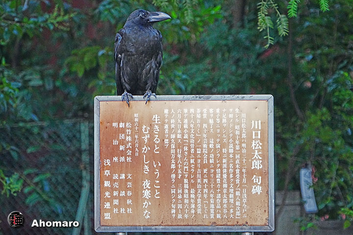 ʐ^00