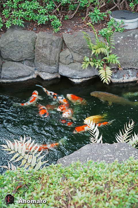 写真00