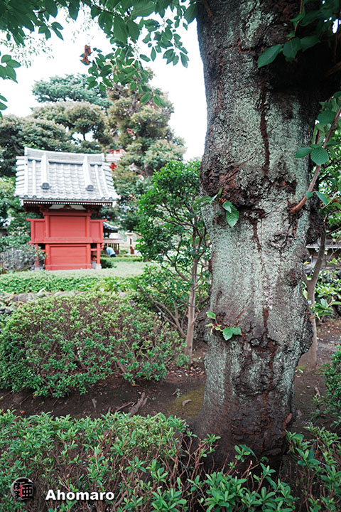写真00