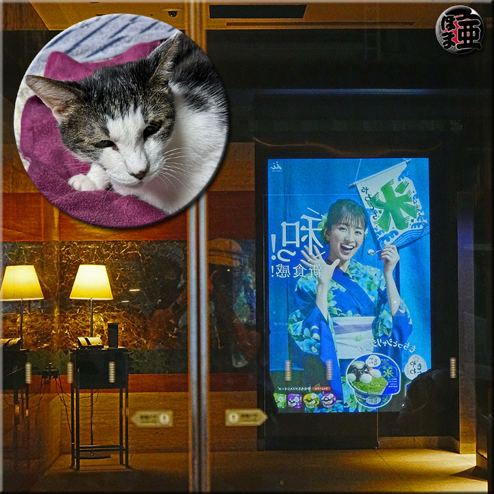 Lʐ^