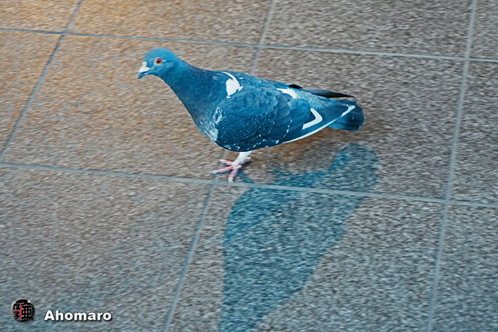 ʐ^00