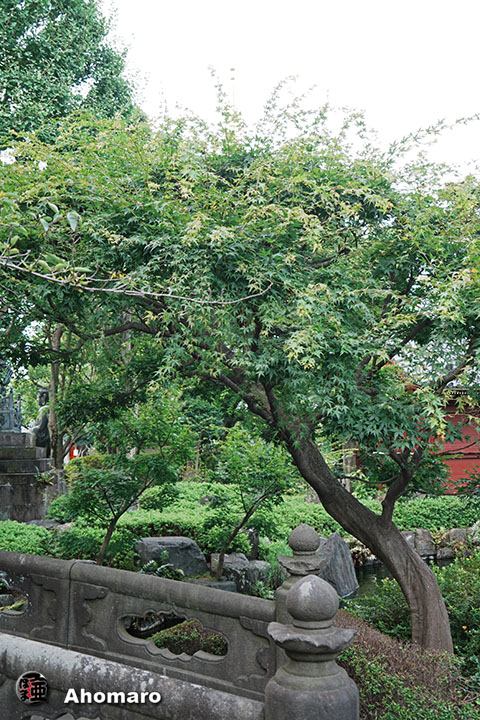 写真00