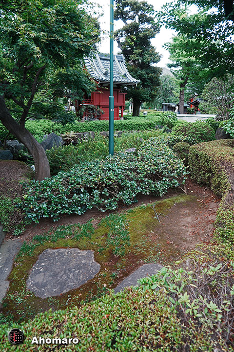 写真00